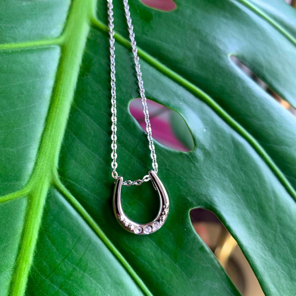 Horse Shoe Necklace